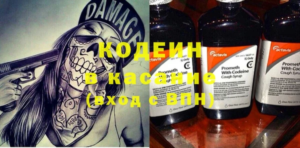 мяу мяу мука Кодинск