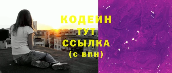 индика Кукмор