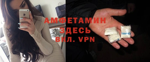 индика Кукмор
