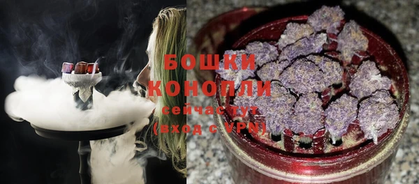 индика Кукмор