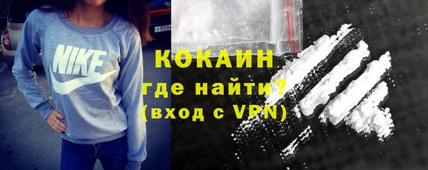 индика Кукмор
