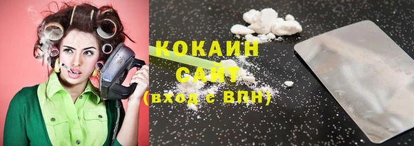 индика Кукмор