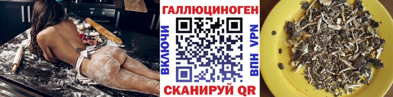 где можно купить   Тогучин  Псилоцибиновые грибы MAGIC MUSHROOMS 